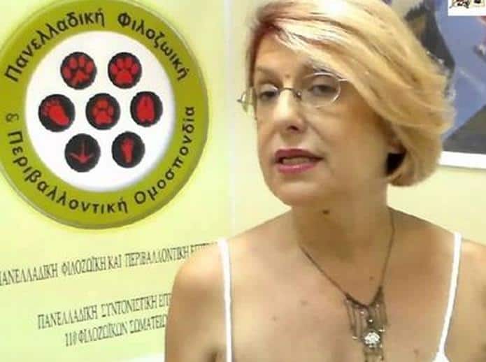 Ένας αποχαιρετισμός στα όπλα, της Νατάσας Μπομπολάκη.