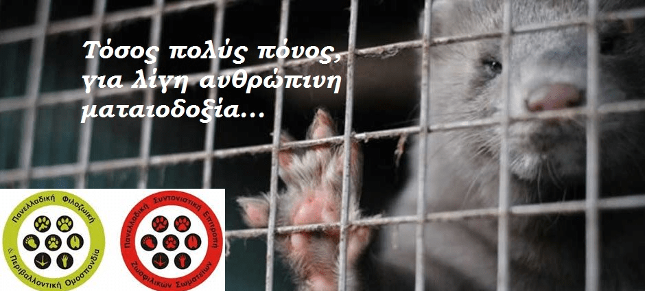 Να απαγορευτεί η εκτροφή γουνοφόρων ζώων στην Ελλάδα