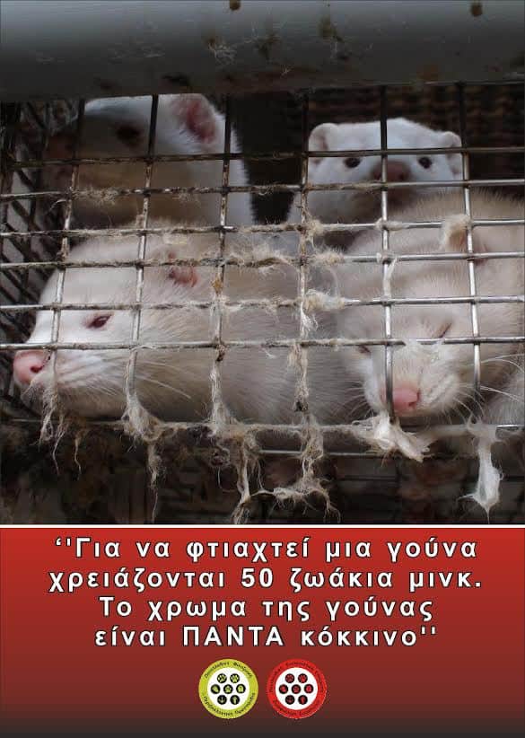 Εκδήλωση Διαμαρτυρίας για την Διεθνή Έκθεση Γούνας στην Αθήνα. 24-3-15 / Protest Against the International Fur Exhibition in Athens