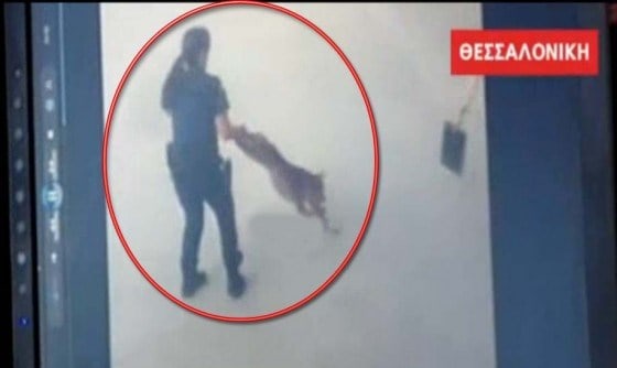 Μήνυση κατά παντός μανιασμένου ανθρώπου – Η συνέχεια της υπόθεσης “μανιασμένο πιτμπουλ”