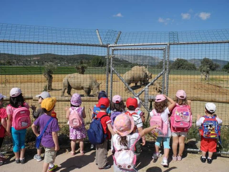 Μπράβο στο Υπουργείο Παιδείας / Bravo to the Ministry of Education
