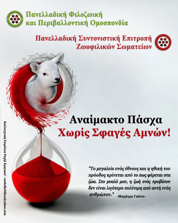Βάρβαρα, αιμοδιψή και παγανιστικά έθιμα ΠΡΕΠΕΙ ΝΑ ΕΚΛΕΙΨΟΥΝ ΑΠΟ ΤΟ ΕΛΛΗΝΙΚΟ ΓΙΓΝΕΣΘΑΙ! / End the slaughtering of Lambs on Easter Day