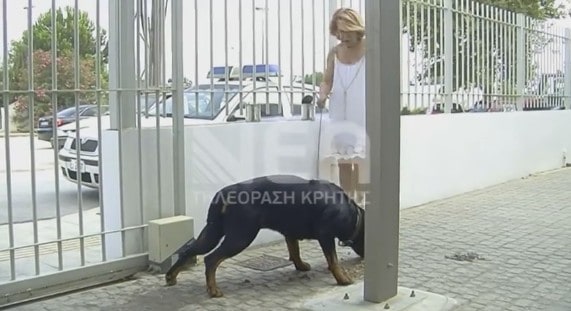 Δύο Rottweiler μέσα στο Αστυνομικό Τμήμα Σούδας – Πώς “σώθηκαν” οι αστυνομικοί