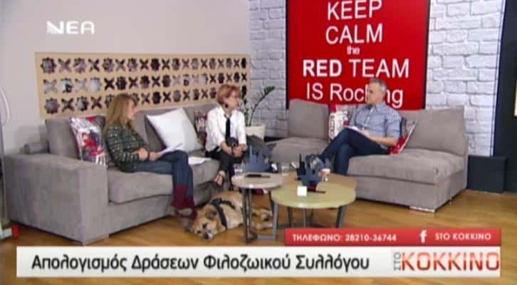 kokkino Η Πρόεδρος της ΠΦΠΟ και η Πρόεδρος του Φιλοζωικού Συλλόγου Χανίων καλεσμένες στην εκπομπή “στο Κόκκινο”