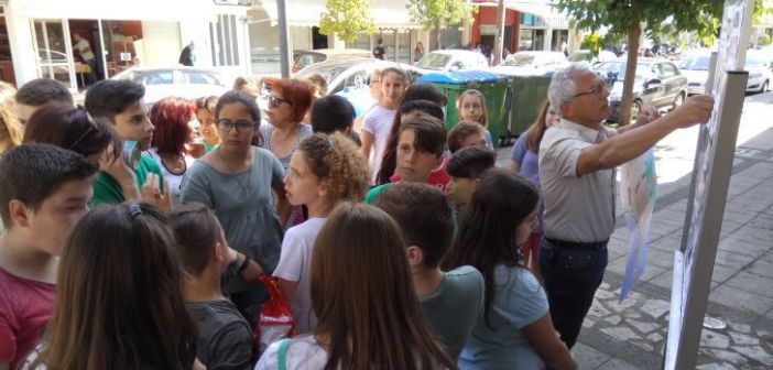 Συντονισμός για τα αδέσποτα του Αγρινίου‌‌