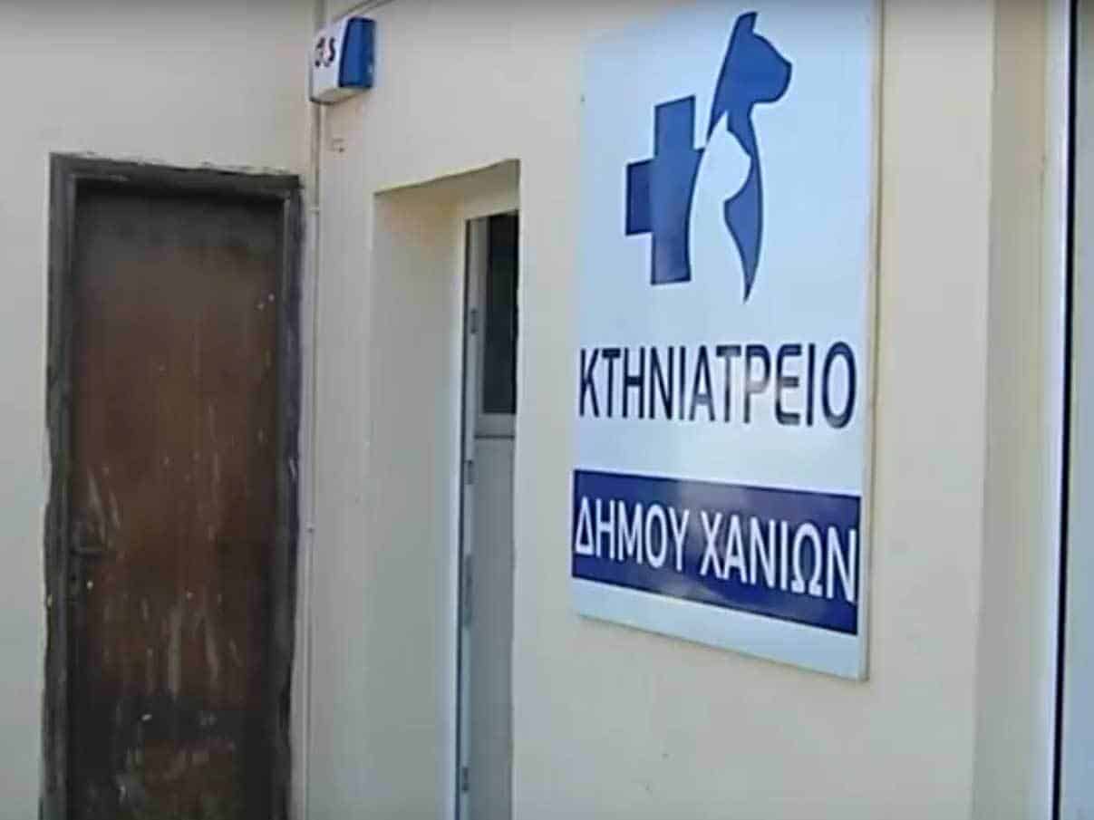 Ανοιχτή επιστολή: Αδέσποτα ζώα – Συντεχνιακά συμφέροντα 10-0!! / Stray animals – Corporate interests 10-0!!