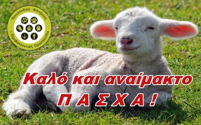 H ΠΦΠΟ σας εύχεται καλό και αναίμακτο Πάσχα / PFPO’s greetings for Happy and Bloodless Easter