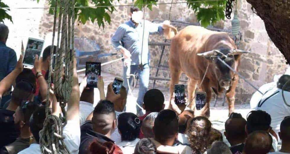 Άρθρο του Τάσου Σαραντή στην Εφημερίδα των Συντακτών για τις ζωοθυσίες στην χώρα μας