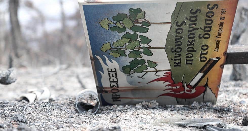 Είμαστε η φύση που υπερασπίζεται τον εαυτό της