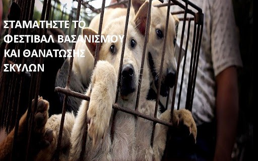 PFPO’s letter to the embassy of the People’s Republic of China concerning dog meat festival in China