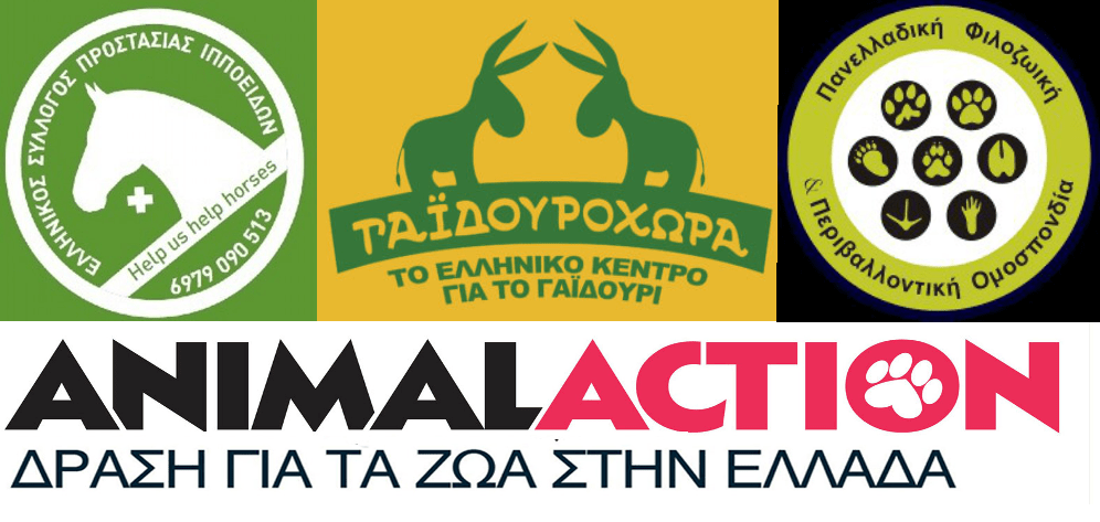 Meeting of four bodies on equines at the Ministry of Rural Development and Food-Joint press release and proposals