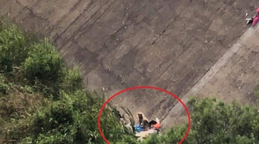 Επιστολή της ΠΦΠΟ προς τους αρμόδιους σχετικά με το φαινόμενο της συνεχούς εγκατάλειψης ζώων συντροφιάς και δη σκύλων στο φράγμα του Πηνειού στην Αμαλιάδα
