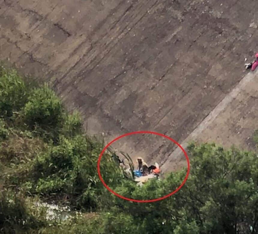 Επιστολή της ΠΦΠΟ προς τους αρμόδιους σχετικά με το φαινόμενο της συνεχούς εγκατάλειψης ζώων συντροφιάς και δη σκύλων στο φράγμα του Πηνειού στην Αμαλιάδα