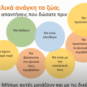 Διαδικτυακό σεμινάριο επιμόρφωσης των εθελοντών/ντριών της ΠΦΠΟ – Online training seminar of the PFPO volunteers