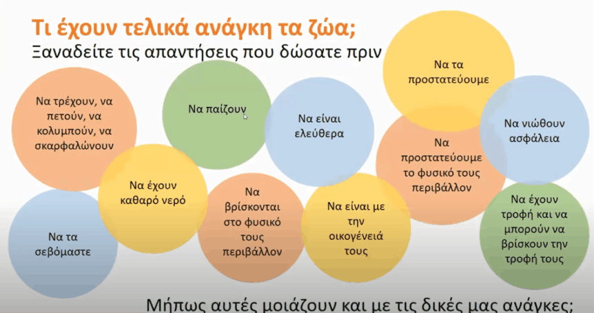 Διαδικτυακό σεμινάριο επιμόρφωσης των εθελοντών/ντριών της ΠΦΠΟ – Online training seminar of the PFPO volunteers