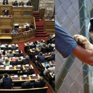 Δελτίο Τύπου: Δηλώσεις του κ. Μητσοτάκη σχετικά με το νέο σχέδιο νόμου για τα ζώα συντροφιάς