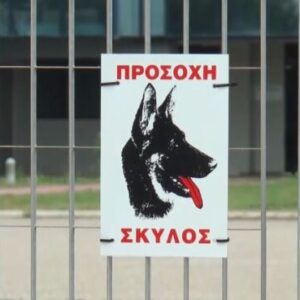 Δελτίο Τύπου: Στο ίδιο έργο θεατές, στη πυρά πάλι τα ζώα!