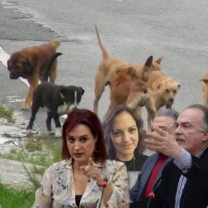 Κυνοκομείο Σερρών: Η ντροπή της Ελλάδας και της Ευρώπης! Νέα επιστολή της ΠΦΠΟ στις Ελληνικές και Ευρωπαϊκές αρχές