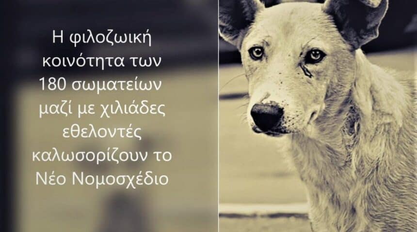 160451712_1355659474805160_6516004502882152710_n Συνέντευξη τύπου Φιλοζωικών φορέων σχετικά με το πολυαναμενόμενο σχέδιο νόμου, ποιοί και γιατί είναι εναντίον, αποδόμηση των ισχυρισμών τους