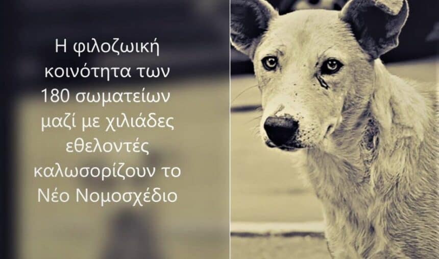 180 φιλοζωικά σωματεία χαιρετίζουν το σχέδιο νόμου  για τα ζώα συντροφιάς