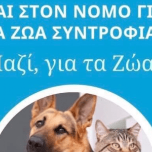 Κοινή  ανακοίνωση για τους λόγους αποχώρησης από την χθεσινή ημερίδα της Περιφέρειας Αττικής που αφορούσε το επικείμενο νομοσχέδιο για τα ζώα συντροφιάς