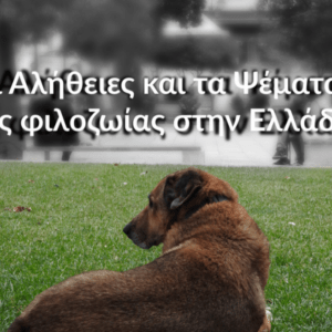 Οι Αλήθειες και τα Ψέματα  της φιλοζωίας στην Ελλάδα, μια εξαιρετική μελέτη για τις υιοθεσίες στο εξωτερικό,