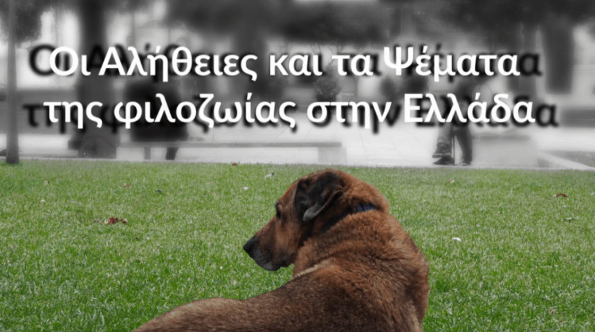 ΑΛΗΘΕΙΕΣ-ΚΑΙ-ΨΕΜΜΑΤΑ-ΦΙΛΟΖΩΙΑΣ-930x656 Οι Αλήθειες και τα Ψέματα της φιλοζωίας στην Ελλάδα, μια εξαιρετική μελέτη για τις υιοθεσίες στο εξωτερικό,