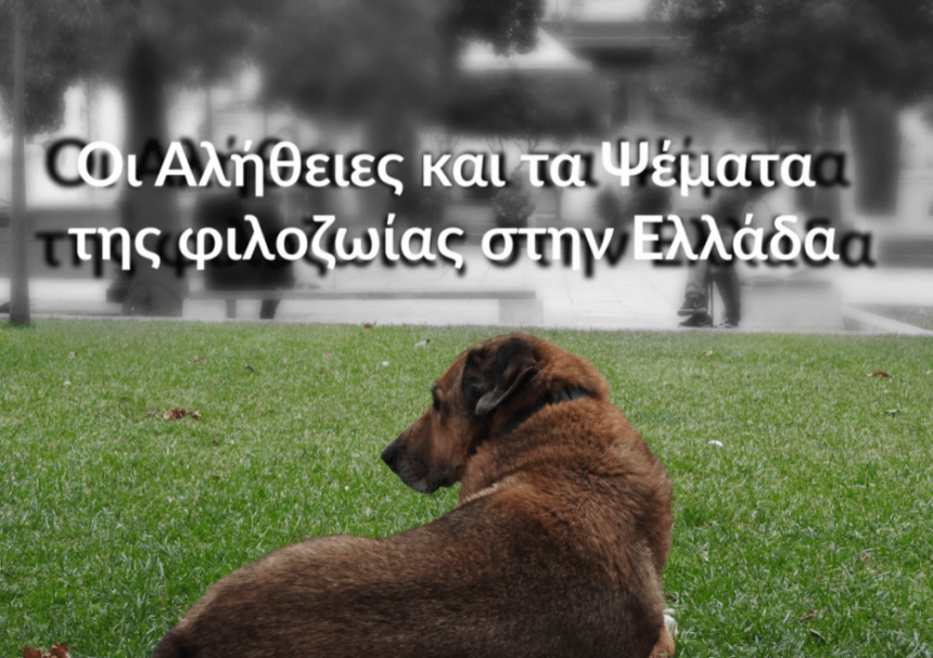 Οι Αλήθειες και τα Ψέματα  της φιλοζωίας στην Ελλάδα, μια εξαιρετική μελέτη για τις υιοθεσίες στο εξωτερικό,