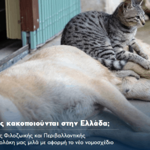 Συνέντευξη της Νατάσας Μπομπολάκη, Πρόεδρο της Πανελλαδικής Φιλοζωικής και Περιβαλλοντικής Ομοσπονδίας για το νέο νομοσχέδιο για την προστασία των ζώων.