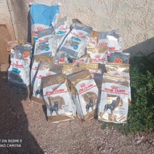 H προσφορά της Royal Canin  στην Πανελλαδική Φιλοζωική Περιβαλλοντική Ομοσπονδία  για την παγκόσμια ημέρα των αδέσποτων.