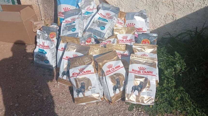 169088452_1370171880020586_4318723132716010342_n H προσφορά της Royal Canin στην Πανελλαδική Φιλοζωική Περιβαλλοντική Ομοσπονδία για την παγκόσμια ημέρα των αδέσποτων.