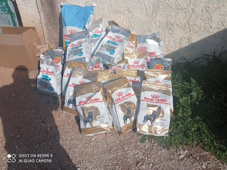 H προσφορά της Royal Canin  στην Πανελλαδική Φιλοζωική Περιβαλλοντική Ομοσπονδία  για την παγκόσμια ημέρα των αδέσποτων.