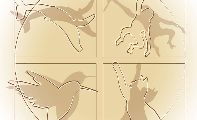 logo_animalethics_for_mail Διϊδρυματικό Πρόγραμμα Μεταπτυχιακών Σπουδών Ζώα: Ηθική, Δίκαιο, Ευζωία DPMS Animals: Ethics, Law, Welfare
