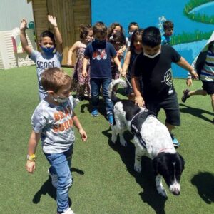 ΚΑΤΟΙΚΙΔΙΑ: Μέλη της Οικογενείας μας – Η ”Ζωφόρος” στο Α Νηπιαγωγείο Αγ. Μαρίνας Μαλεβιζίου  PETS: Members of our Family – The “Frieze” in the First Kindergarten Marina Maleviziou