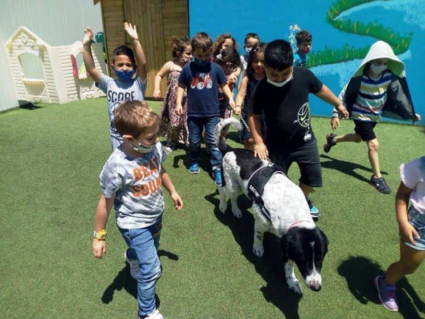 ΚΑΤΟΙΚΙΔΙΑ: Μέλη της Οικογενείας μας – Η ”Ζωφόρος” στο Α Νηπιαγωγείο Αγ. Μαρίνας Μαλεβιζίου  PETS: Members of our Family – The “Frieze” in the First Kindergarten Marina Maleviziou