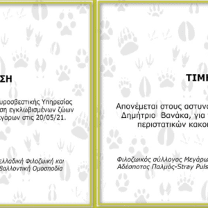 Τιμητικές διακρίσεις της ΠΦΠΟ