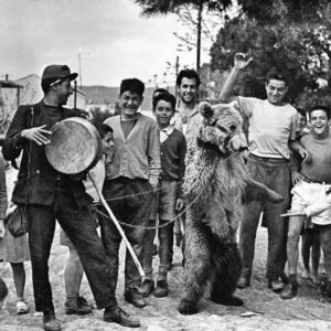 Όπως παλιά, με τις αλυσοδεμένες αρκούδες! Απάντηση-γνωμοδότηση του καθηγητή της Κτηνιατρικής Σχολής Αριστοτελείου Πανεπιστήμιου  Θεσσαλονίκης Γεώργιου Αρσένου για τη βαρβαρότητα του “εθίμου” του Ταύρου στη Μυτιλήνη.