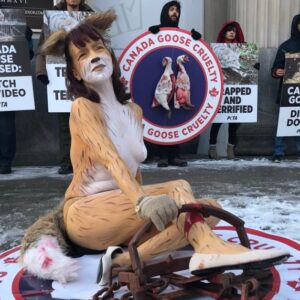 Η Canada Goose Τερματίζει Την Χρήση Γούνας.