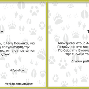 Τιμητικές διακρίσεις της ΠΦΠΟ
