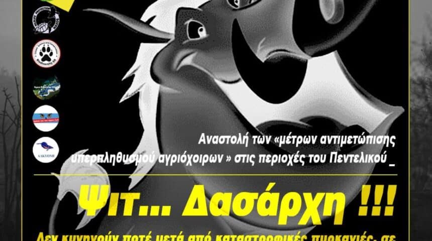 Η θέση των 7 περιβαλλοντικών  φορέων για την αναστολή της απόφασης του δασαρχείου  για τα αγριογούρουνα κλπ. Τι προτείνουν. The position of the 7 environmental bodies for the suspension of the decision of the forest department for the wild boars etc. What do they suggest.