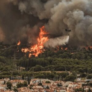 Δελτίο Τύπου: Ο πύρινος εφιάλτης έχει πολλά μη ανθρώπινα θύματα. Χρειάζονται μέτρα τώρα! Press Release: The fiery nightmare has many non-human victims. Measures are needed now!