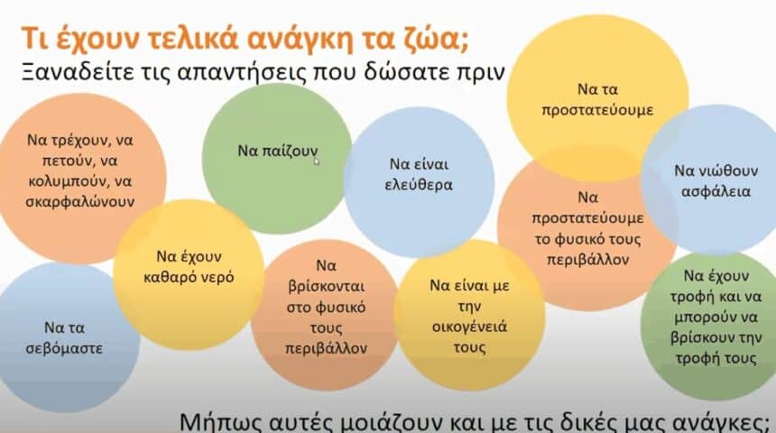 Ξεκινούν για εκπαιδευτικούς και εθελοντές τα εκπαιδευτικά προγράμματα της ΠΦΠΟ στην Πλατφόρμα 21+ Εργαστήρια Δεξιοτήτων.