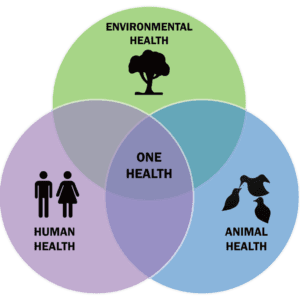 One Health Η Σημασία του Για την COVID-19 και τις Μελλοντικές Πανδημίες