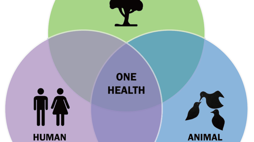 1200px-One-Health-Triad-en One Health Η Σημασία του Για την COVID-19 και τις Μελλοντικές Πανδημίες