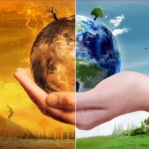 Κατά 600.000.000 μειώθηκε ο αριθμός των πουλιών στην Ε.Ε.