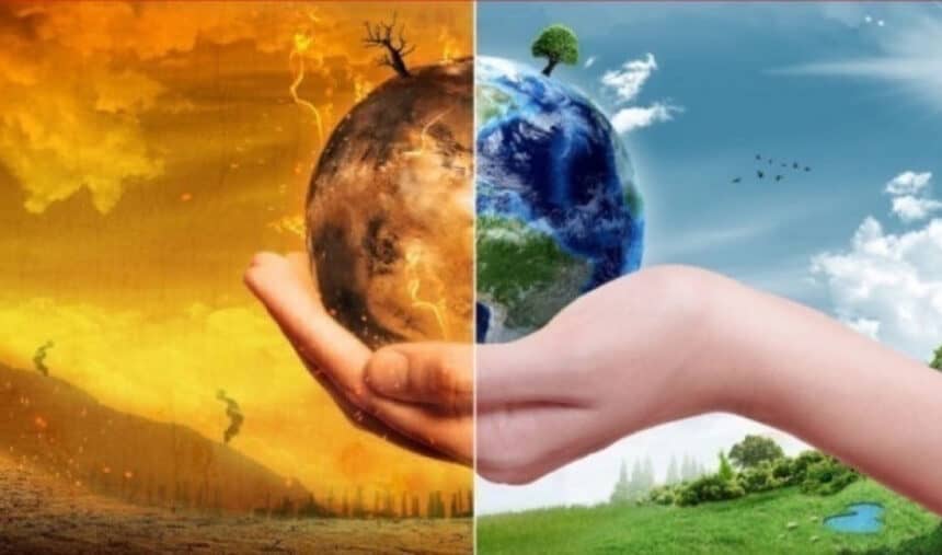 Κατά 600.000.000 μειώθηκε ο αριθμός των πουλιών στην Ε.Ε.