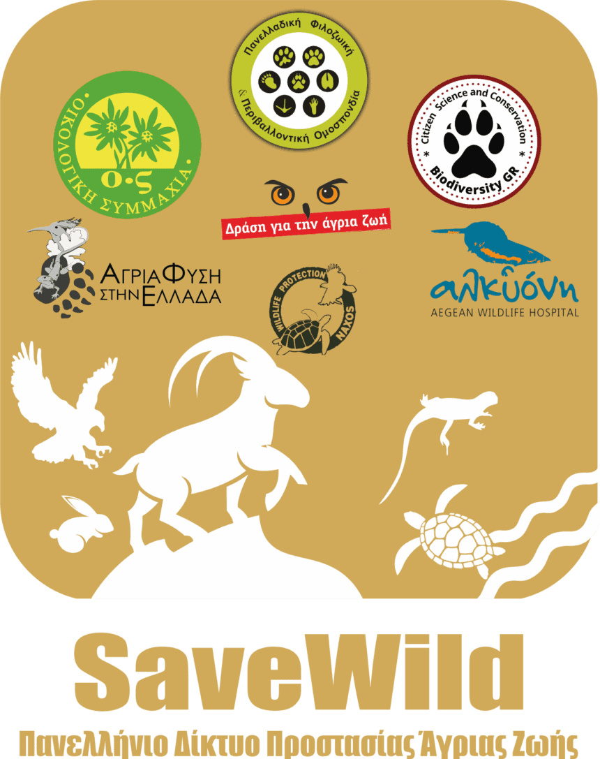 SaveWild , Πανελλήνιο Δίκτυο Προστασίας Άγριας Ζωής.