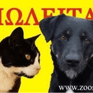 Καταδικάστηκαν απο το Τριμελές Πλημμελειοδικείο Χανίων 6 άτομα για παράνομες αγγελίες σε τοπικό τύπο πώλησης ζώων συντροφιάς – 6 people were convicted by the Three-Member Misdemeanor Court of Chania for illegal ads in a local type of pet sales