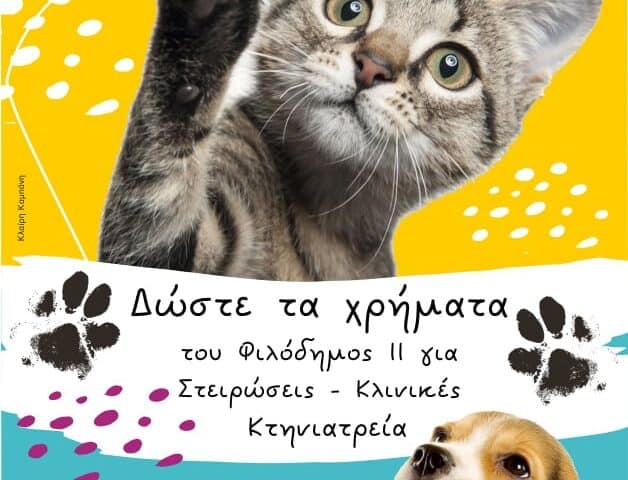 273558065_3163285540605992_2139219976512415545_n Να αλλάξει άμεσα το “Φιλόδημος 2”: Να δοθεί η χρηματοδότηση για στειρώσεις και δημοτικά κτηνιατρεία-κλινικές. Change immediately “Philodimos 2”: Provide funding for sterilization and municipal veterinary clinics.