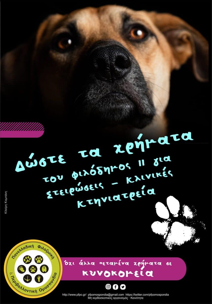 Ανακοίνωση της ΠΦΠΟ για τη Σπάρτη.   H κακοποίηση των ζώων σε κολαστήρια όπως το κυνοκομείο της Σπάρτης, είναι ο κανόνας και όχι η εξαίρεση. Πάρτε μέτρα τώρα!